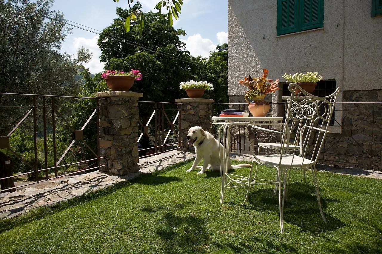Couette-café Bed and Breakfast La Casa Dei Nonni Castelbianco à Colletta